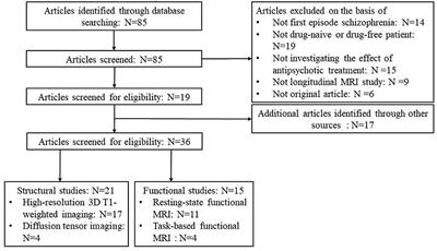 The Effects of Antipsychotic Treatment on the Brain of Patients With First-Episode Schizophrenia: A Selective Review of Longitudinal MRI Studies